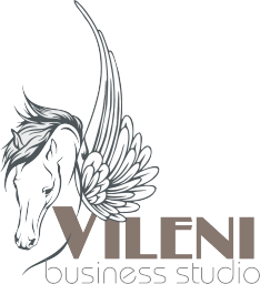 VILENI | BUSINEES STUDIO